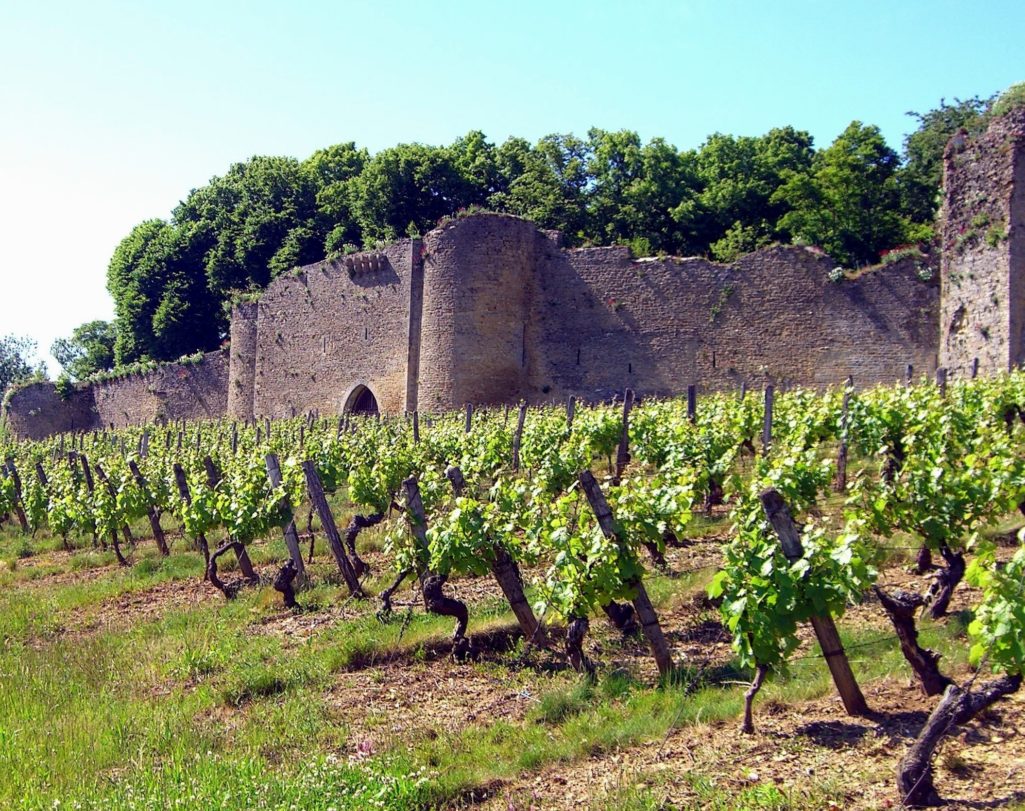 VINS & SELECTIONS